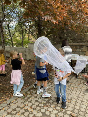 Students with butterfly nets.