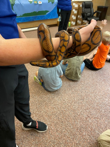 2nd grade snake 