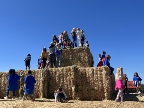 Students on hay.