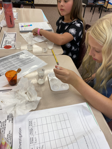 Mrs. Steen's 5th graders observing and testing various white powders.