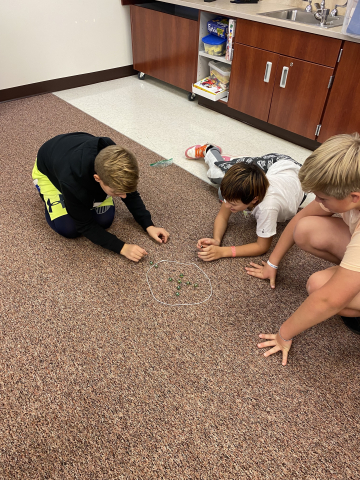 Students playing marbles.