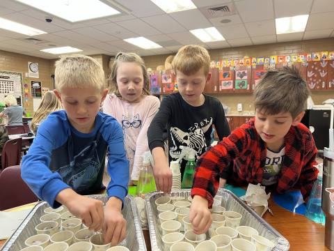 Second graders looking at their cups where they planted their seeds.