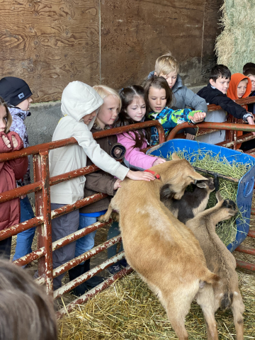 Students petting a farm animal.