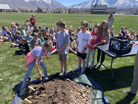 Students helping to plant a tree at the park. 