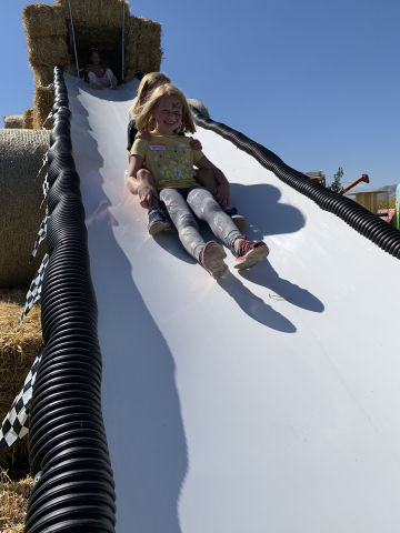 Students going down the slide.