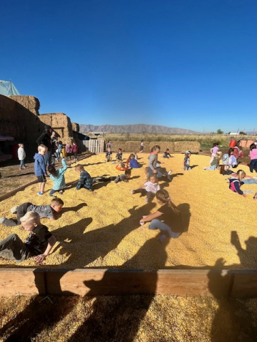 Kindergarten students at the corn maze.