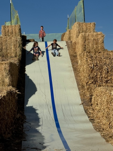 Students on the slides at the pumpkin patch.