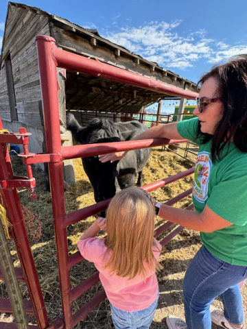 Student petting a cow at the pumpkin patch.