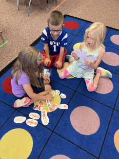 Students sorting body systems.